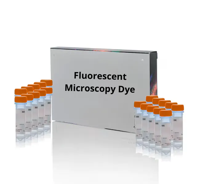 [Fluo-0001] 2',7'-Dichlorodihydrofluorescein diacetate - 100 mg