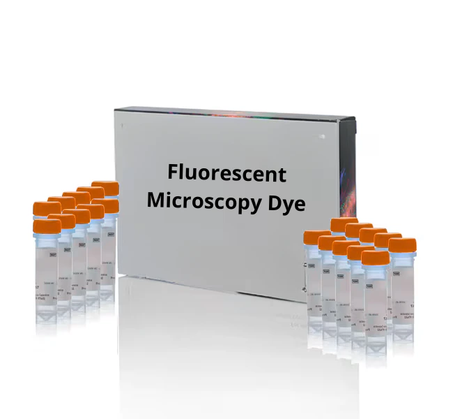 [Fluo-0176] Dansyl cadaverine [5-Dimethylaminonaphthalene-1-(N-(5-aminopentyl))sulfonamide] - 1 g