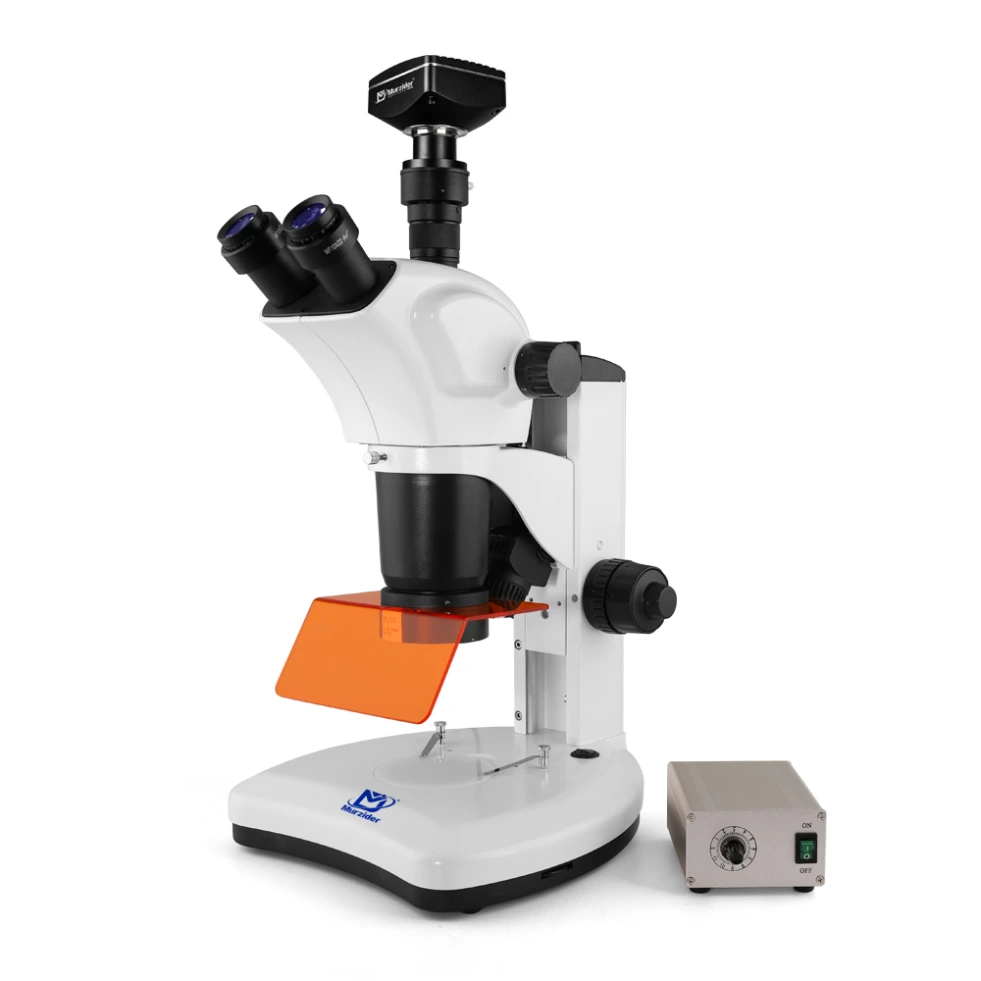 Type Fluorescence Microscope +1000W Pixels Camera